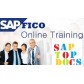 SAP FI-CO ONLINE TRAINING @ 750 With Certification documents